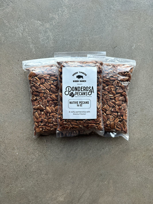 Ponderosa Native Pecans - 16 oz