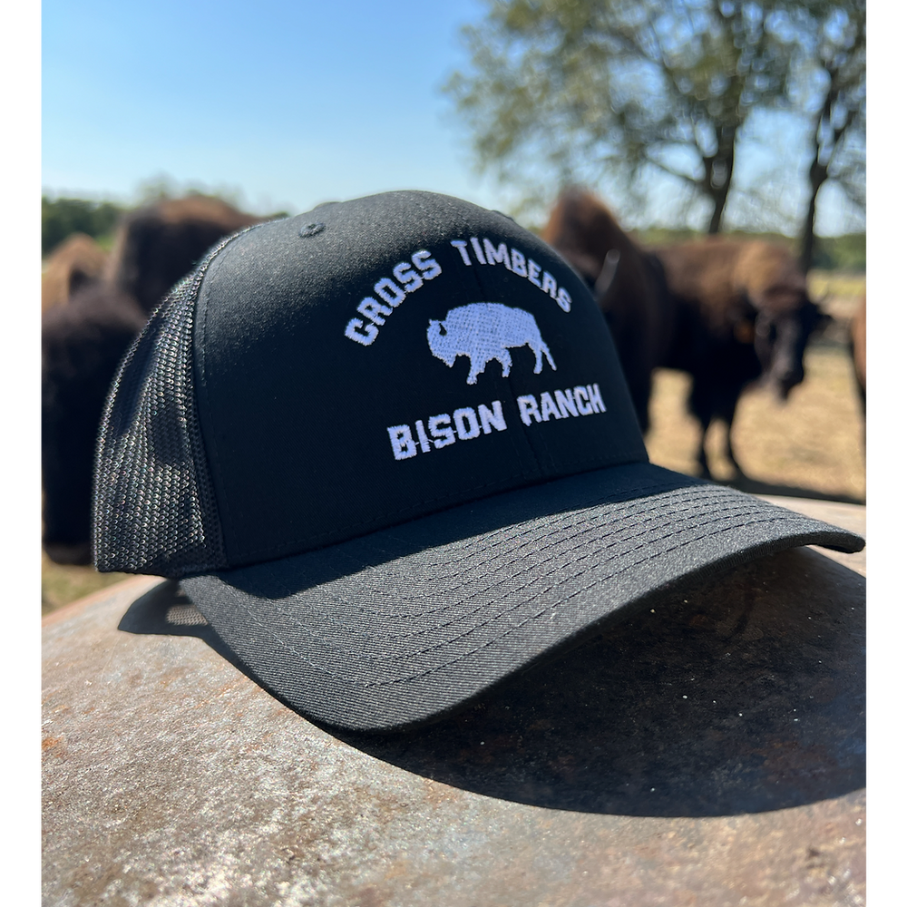 Classic Black Bison Cap