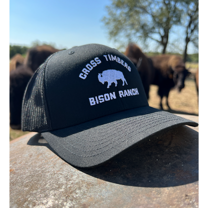 Classic Black Bison Cap